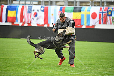 Tika van Arne`s Hoeve